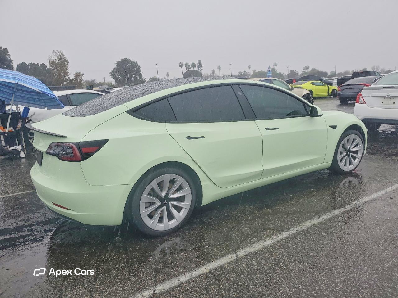 Tesla Model 3 2021