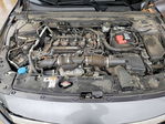 Honda Accord 2019