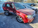 Ford Escape 2012