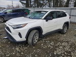 Toyota RAV 4 2023