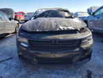 Dodge Charger 2016