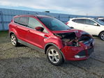 Ford Escape 2015