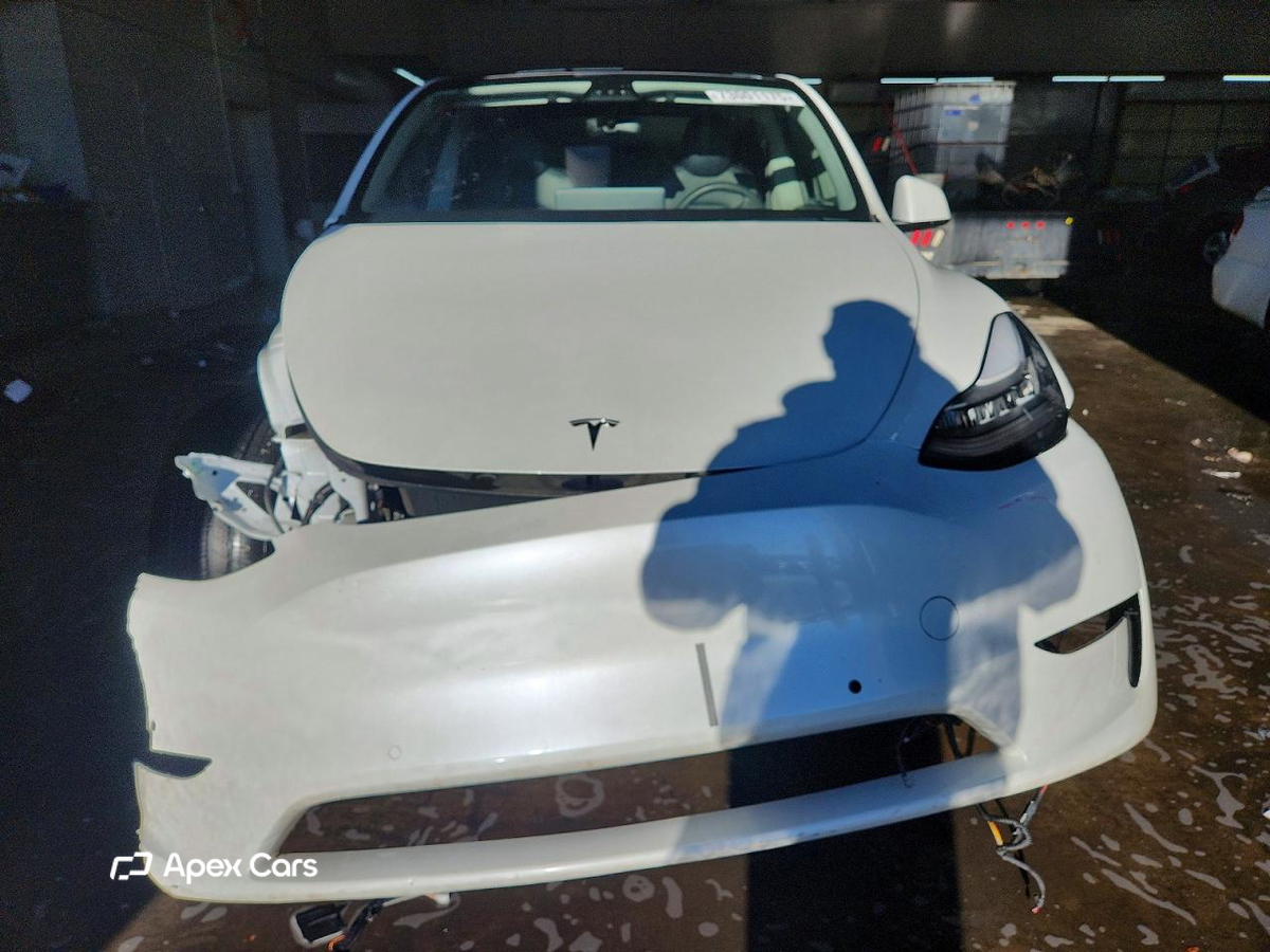 Tesla Model Y 2020