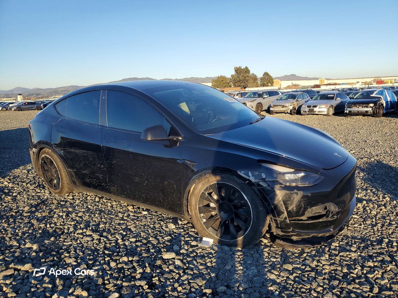 Tesla Model Y 2022