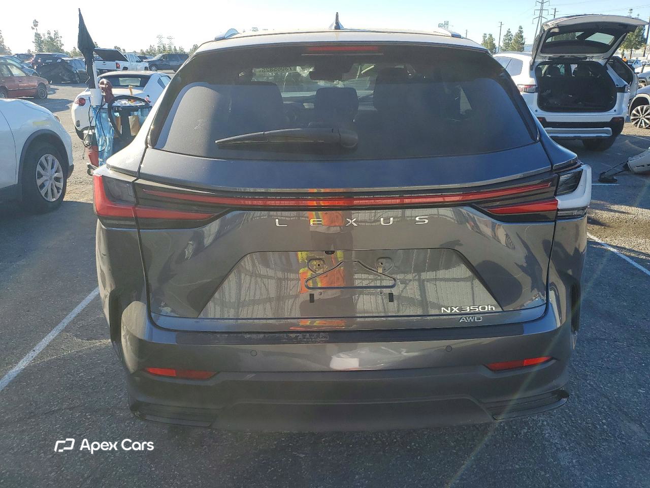Lexus NX 2024