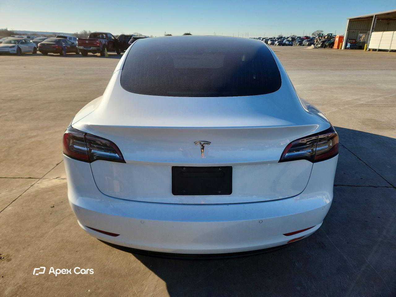 Tesla Model 3 2019