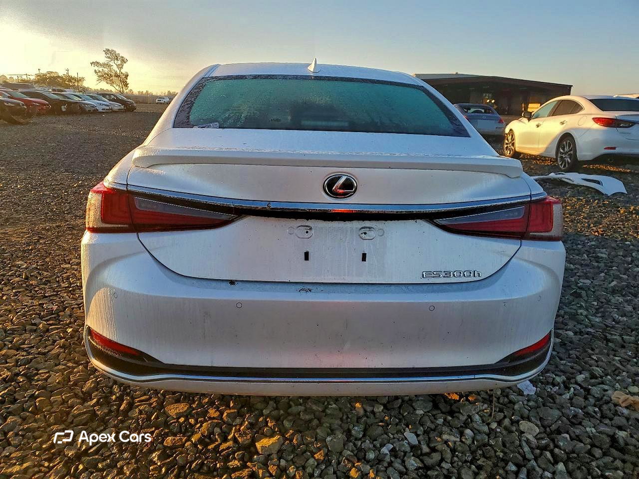 Lexus ES 2024