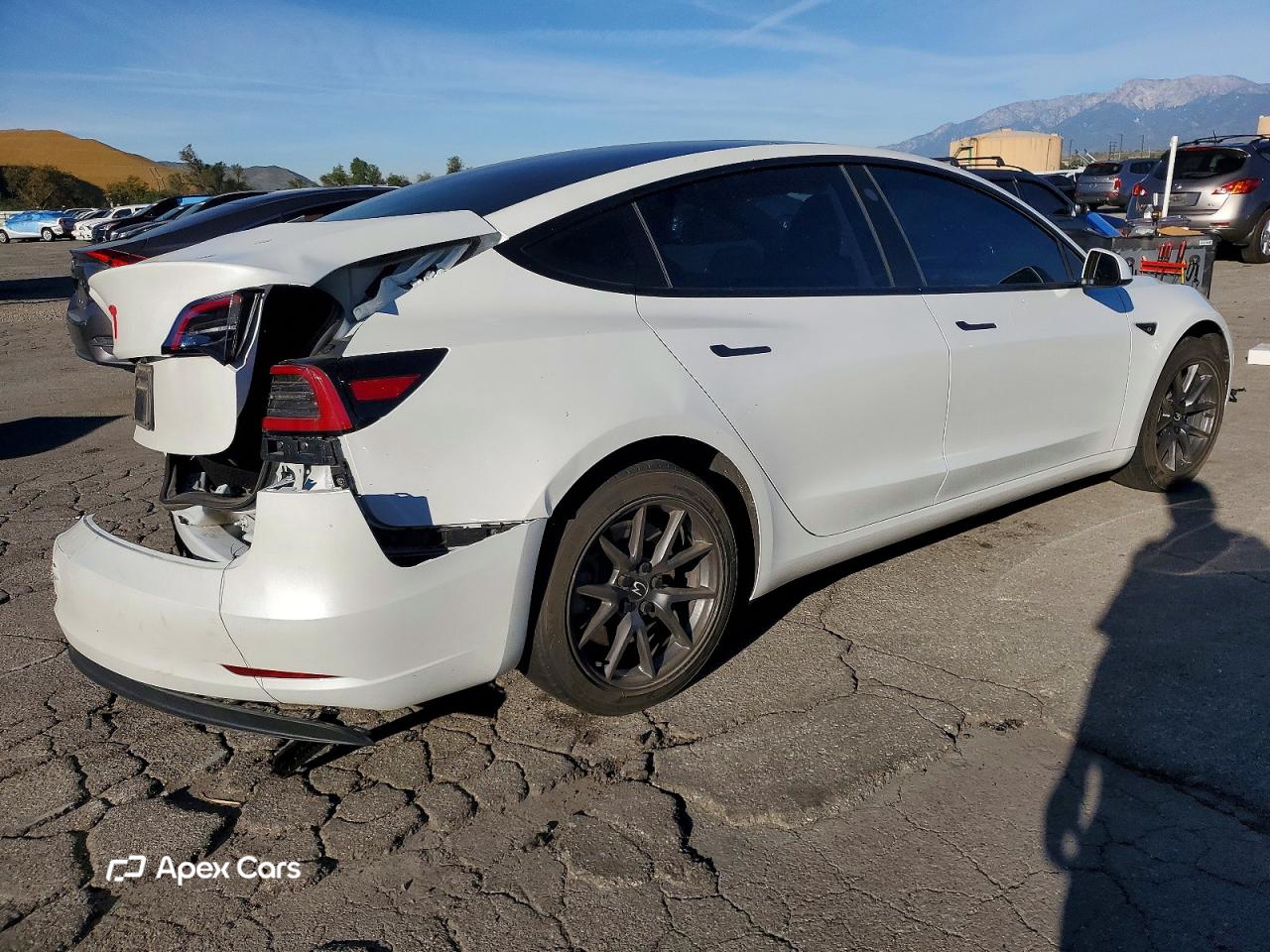 Tesla Model 3 2023