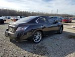 Nissan Maxima 2014