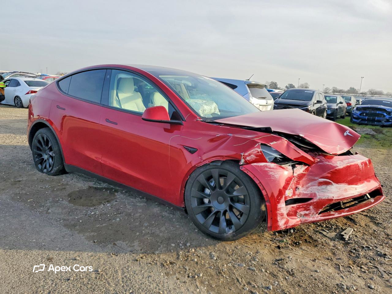 Tesla Model Y 2023