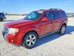 Ford Escape 2010