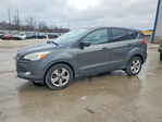 Ford Escape 2015