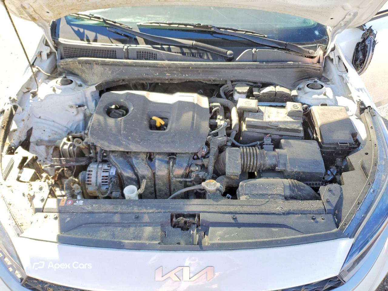 Kia Forte 2024