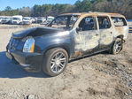 Cadillac Escalade 2014