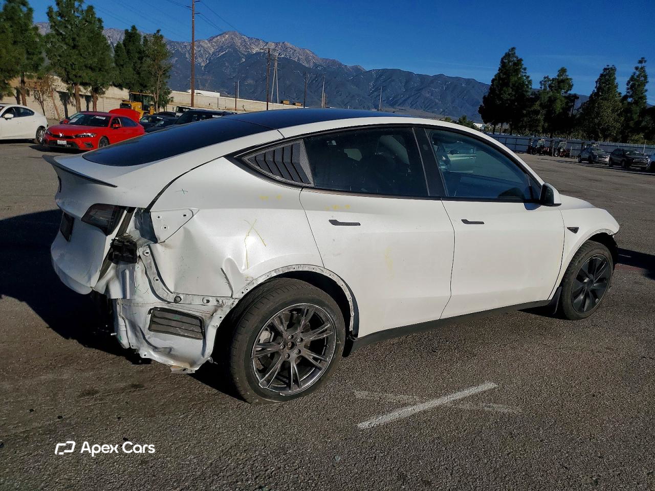 Tesla Model Y 2024