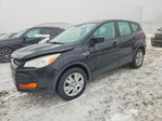 Ford Escape 2013