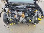 Dodge Hornet 2024