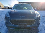 Ford Escape 2020