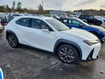 Lexus UX 2021