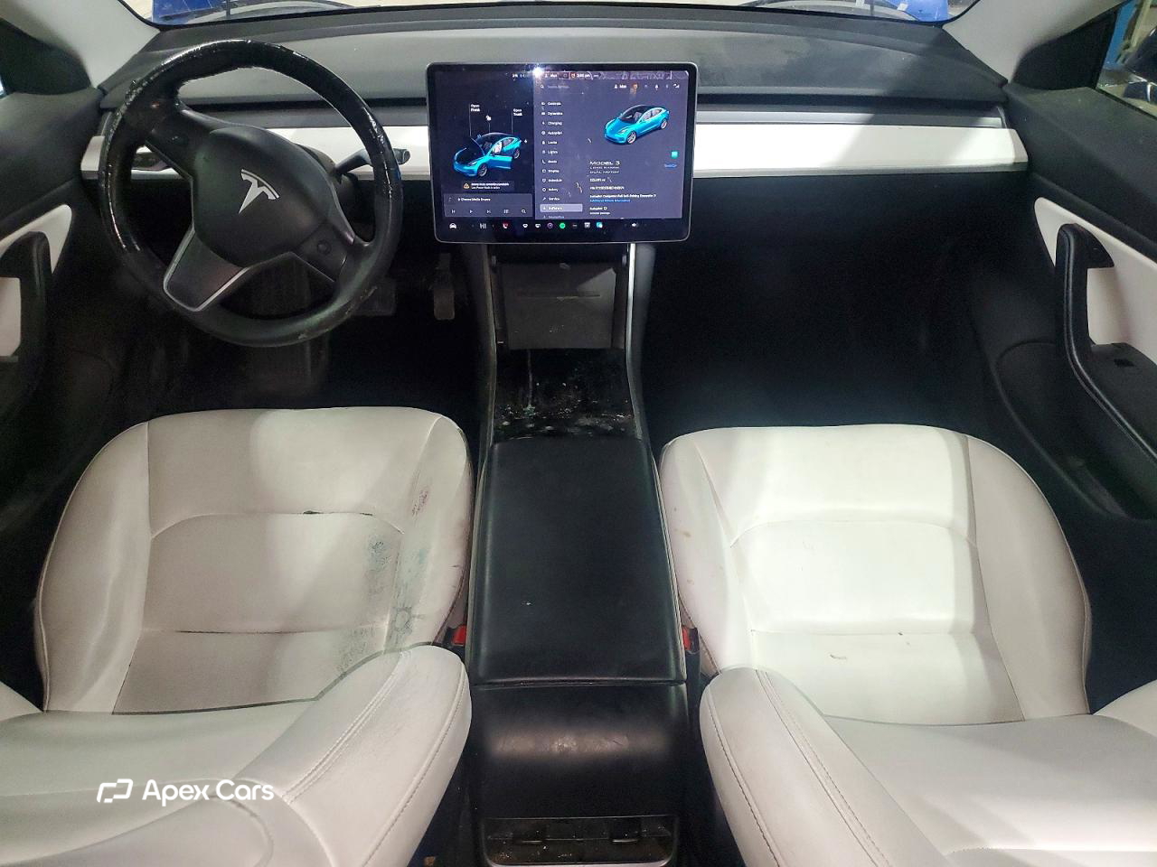 Tesla Model 3 2019