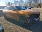 Audi Q8 2019