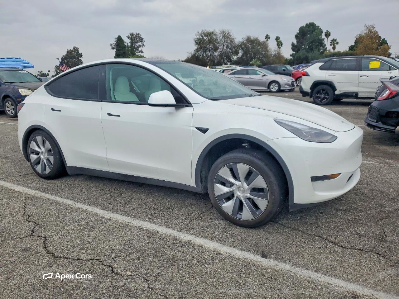 Tesla Model Y 2024