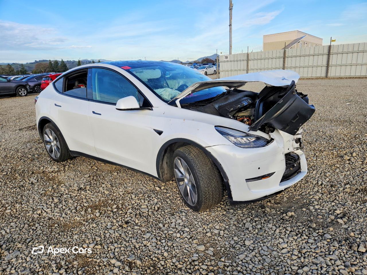 Tesla Model Y 2021