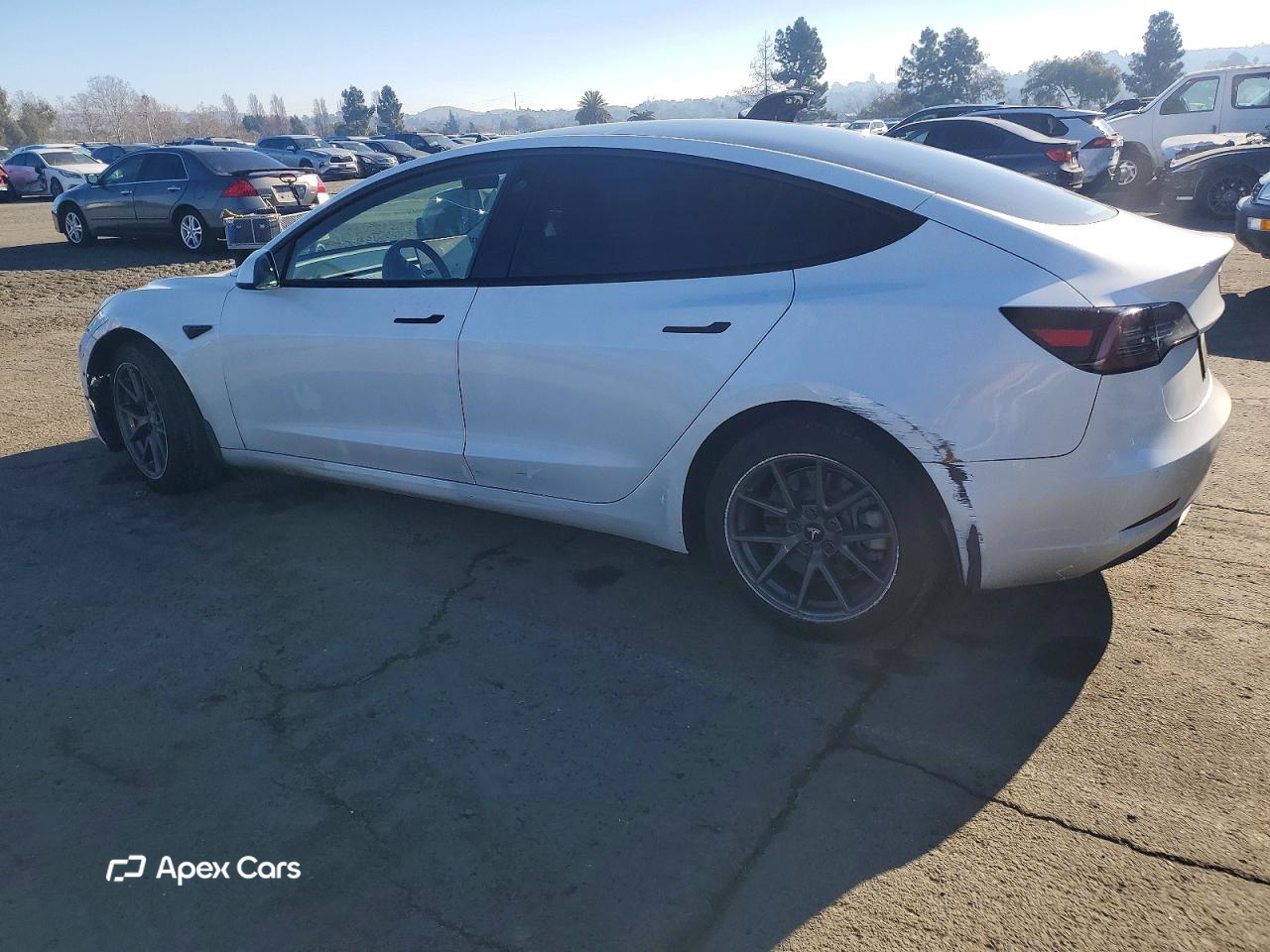 Tesla Model 3 2022