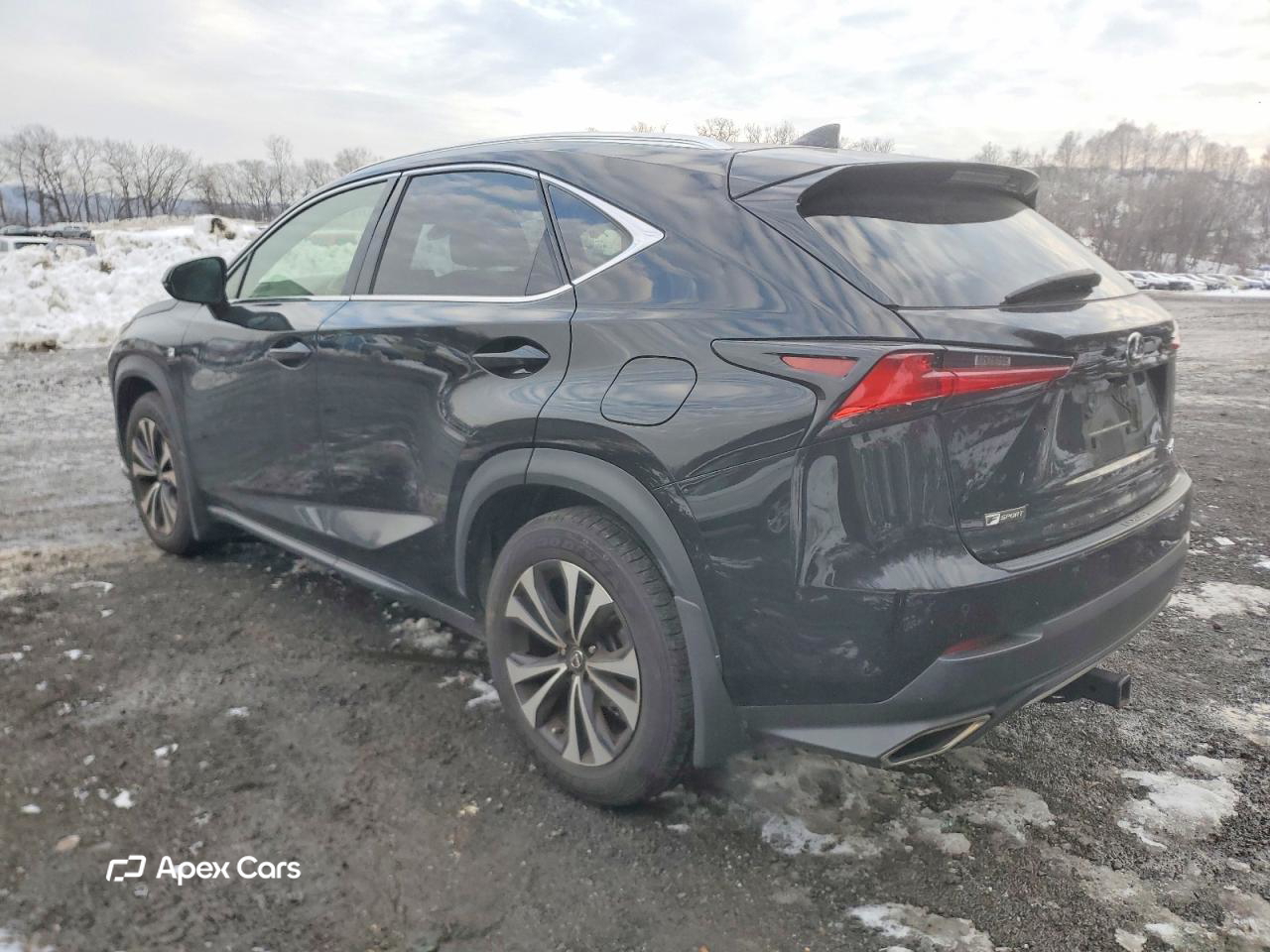 Lexus NX 2020