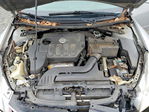 Nissan Altima 2010