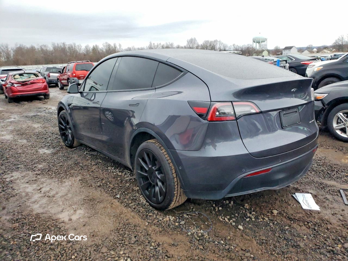 Tesla Model Y 2021