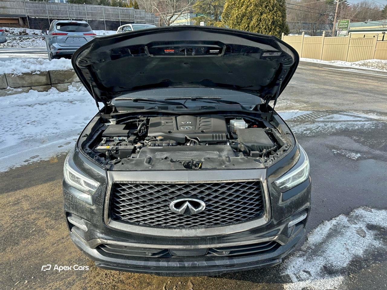 Infiniti QX80 2023