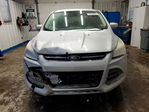 Ford Escape 2013