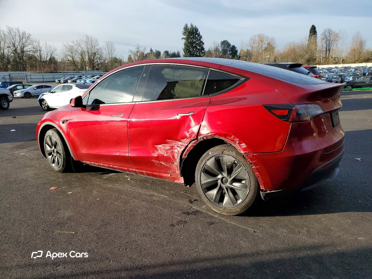 Tesla Model Y 2024