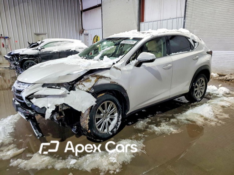 Lexus NX 2017 - Image 1 of 14