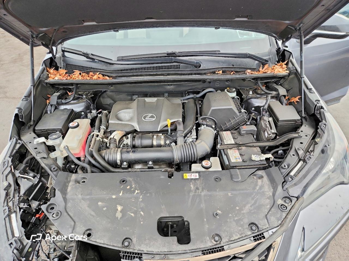 Lexus NX 2021