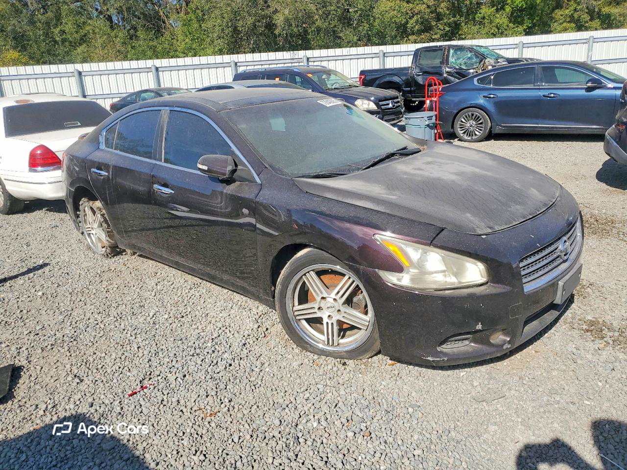 Nissan Maxima 2010