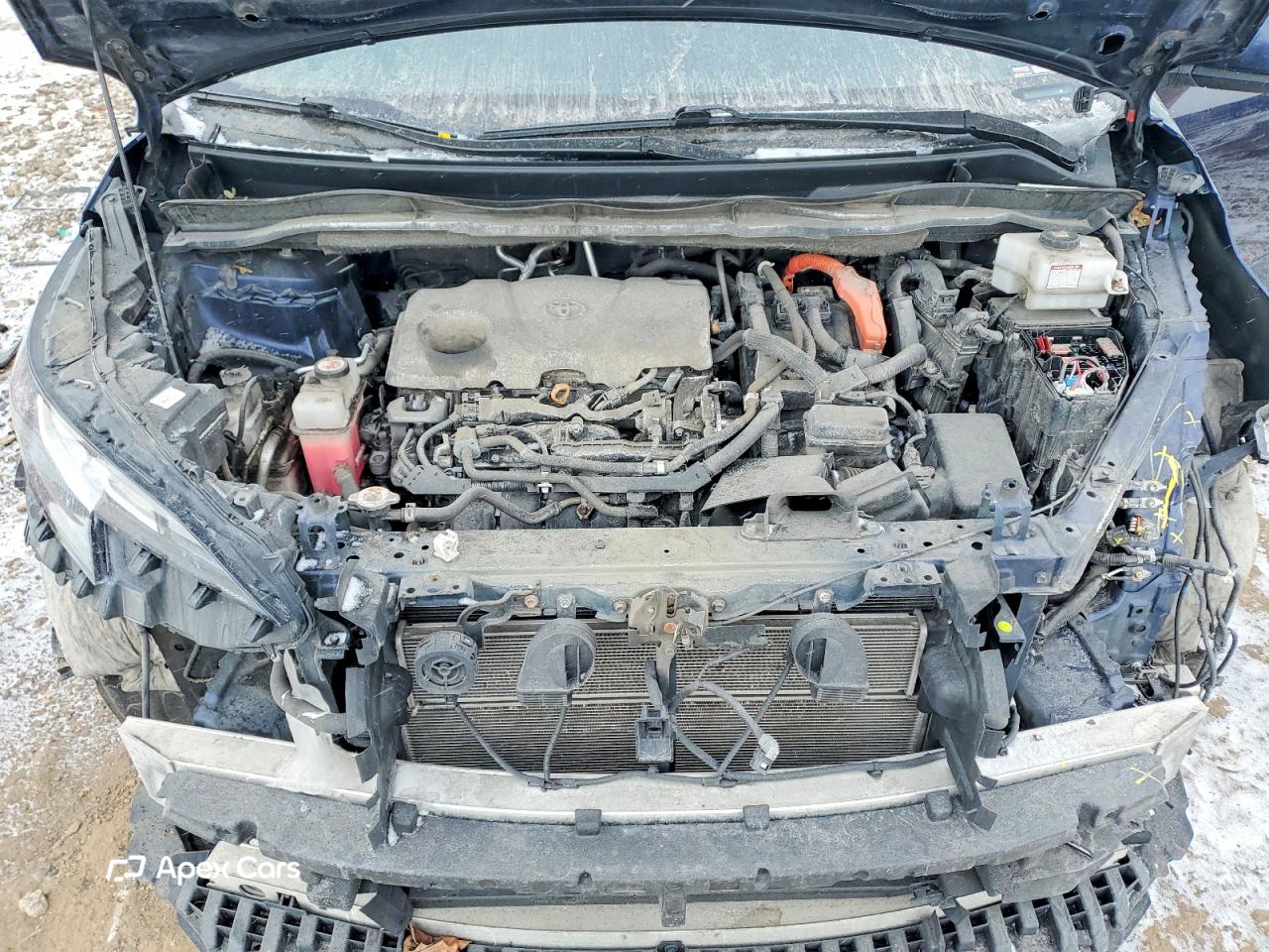 Toyota Sienna 2021