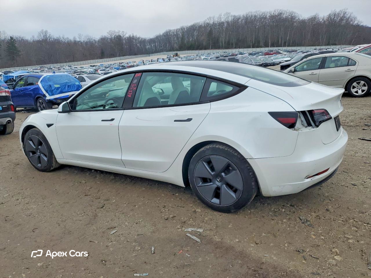 Tesla Model 3 2023