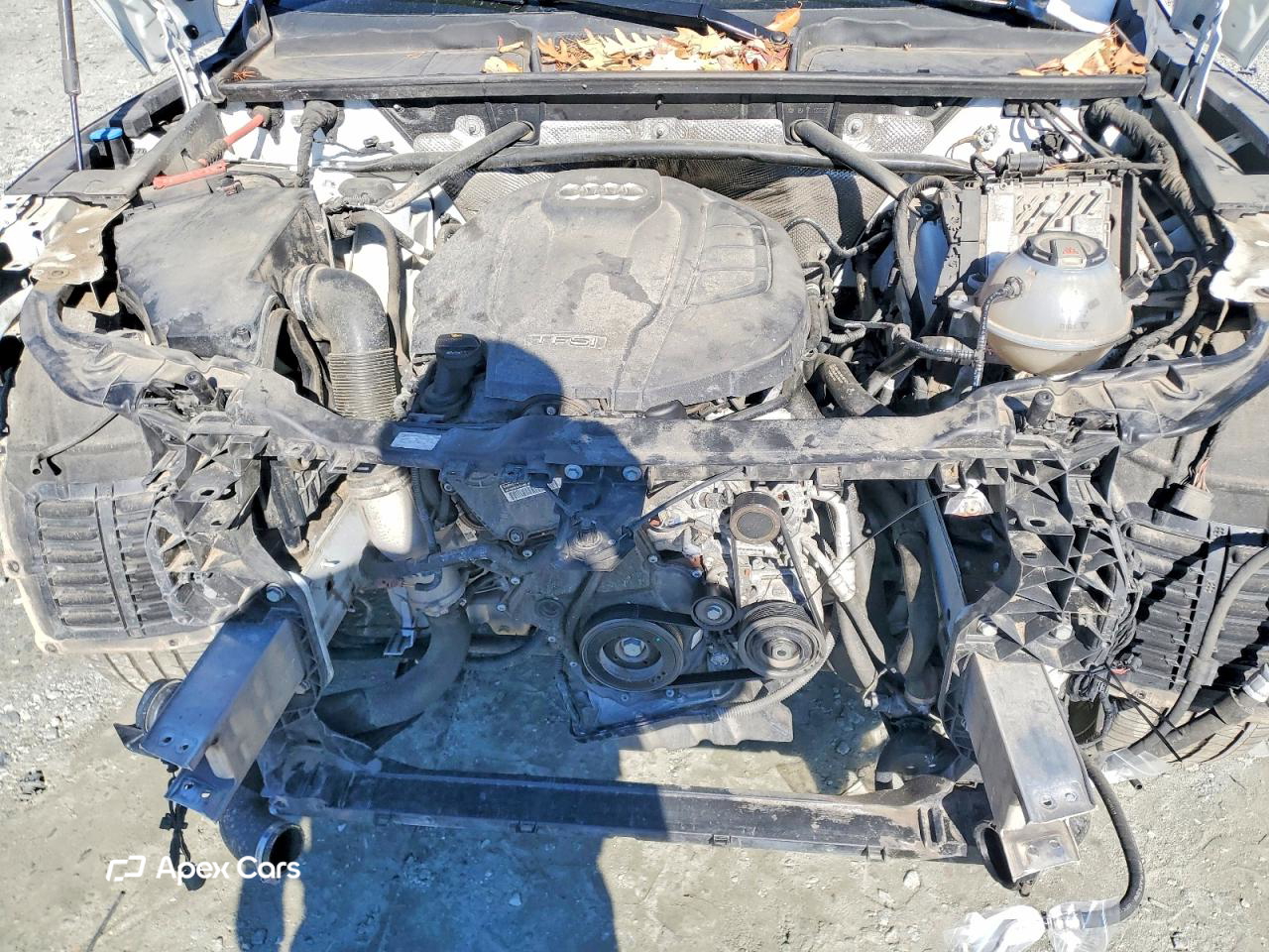 Audi Q5 2020