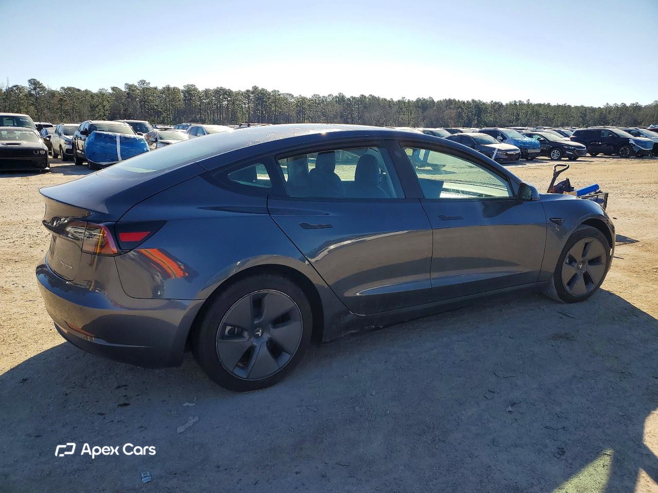 Tesla Model 3 2022