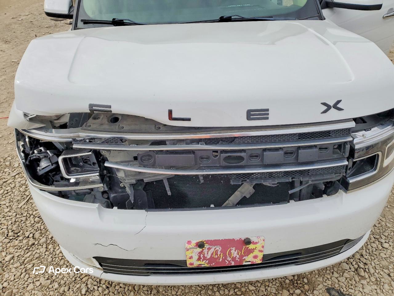 Ford Flex 2019
