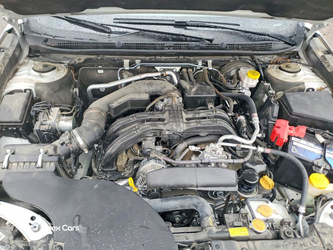 Subaru Outback 2021