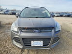 Ford Escape 2013