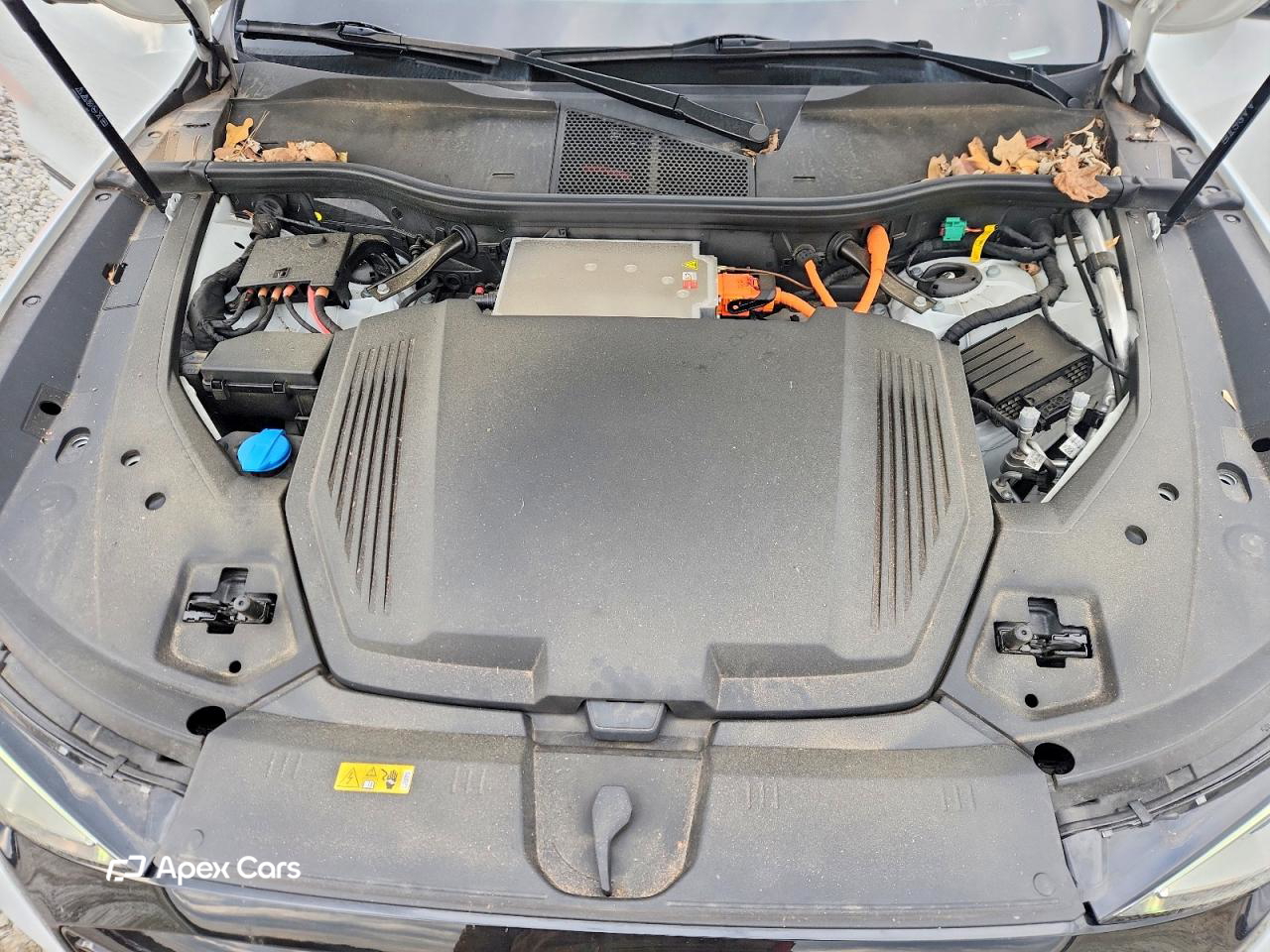 Audi Q8 2024