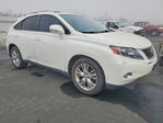 Lexus RX 2010