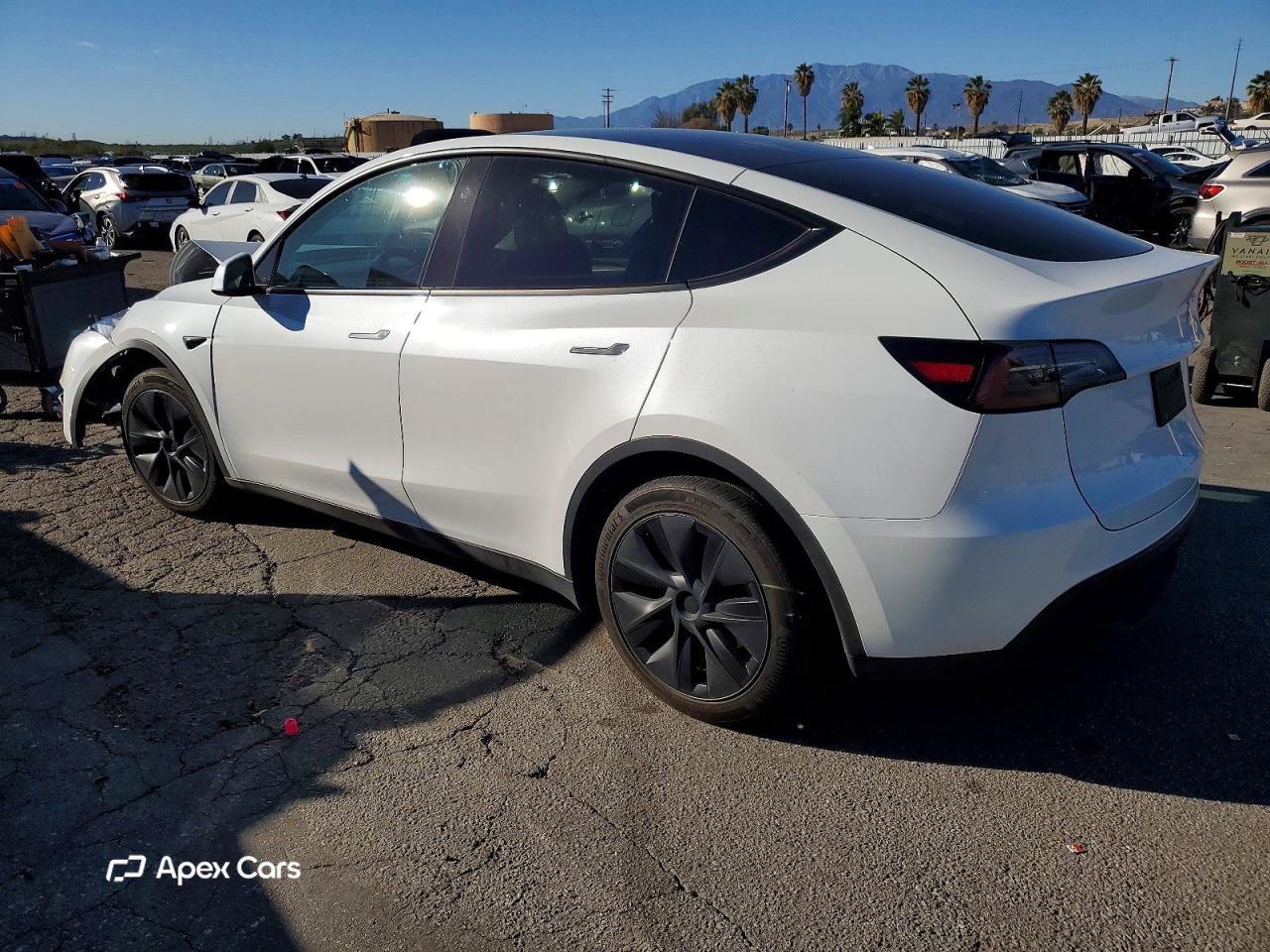 Tesla Model Y 2024