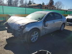 Nissan Maxima 2005