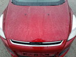 Ford Escape 2014