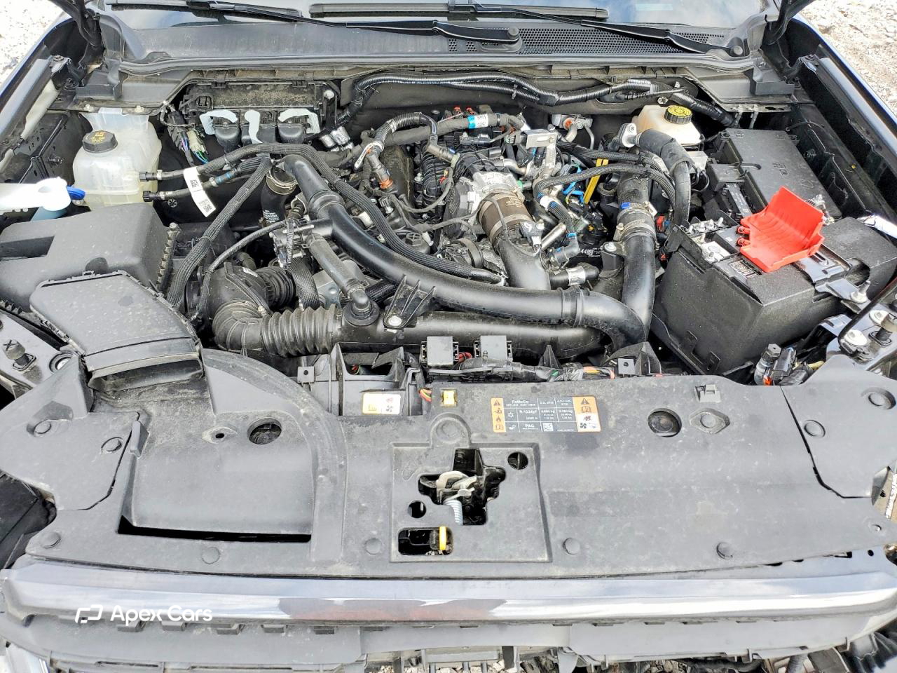 Ford Ranger 2024